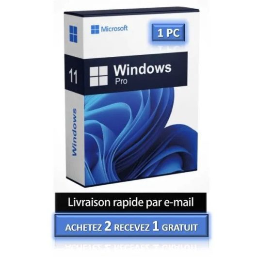 Windows 11 Pro (Professionel)